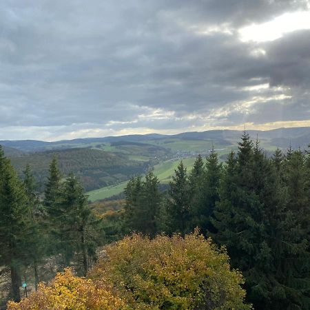 Schoenwald Waldchalet Am Musenberg Stryck Buitenkant foto