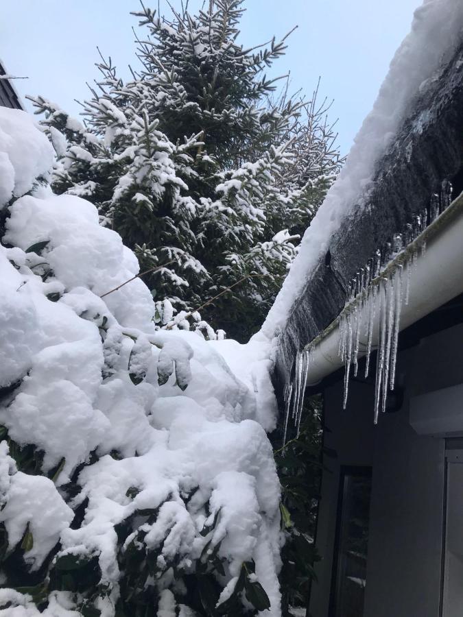 Schoenwald Waldchalet Am Musenberg Stryck Buitenkant foto