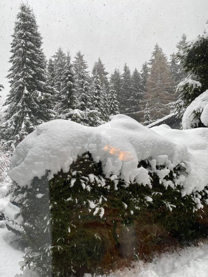 Schoenwald Waldchalet Am Musenberg Stryck Buitenkant foto