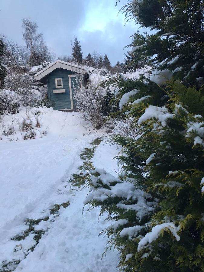 Schoenwald Waldchalet Am Musenberg Stryck Buitenkant foto