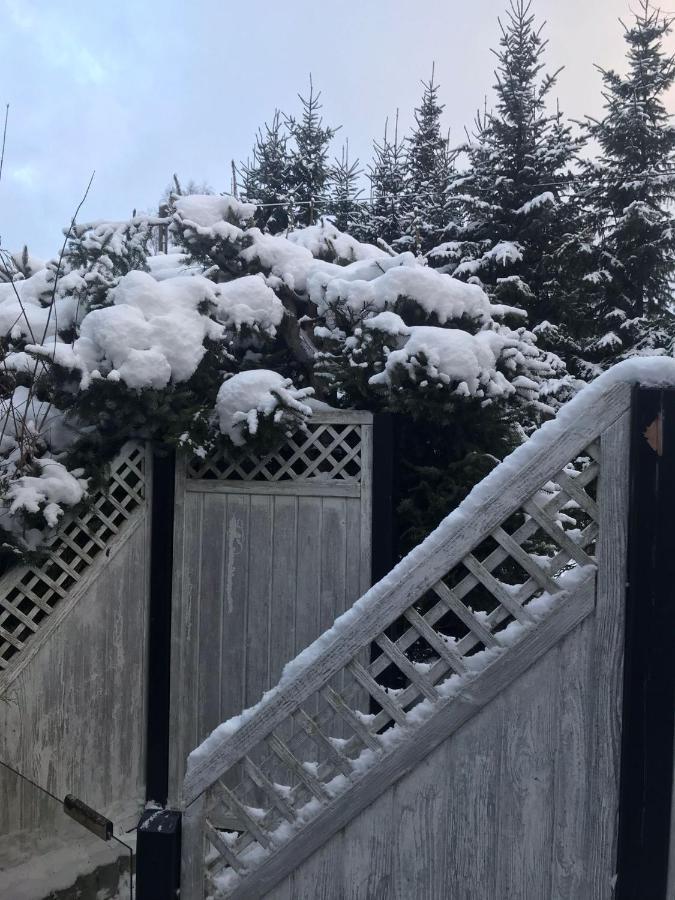 Schoenwald Waldchalet Am Musenberg Stryck Buitenkant foto